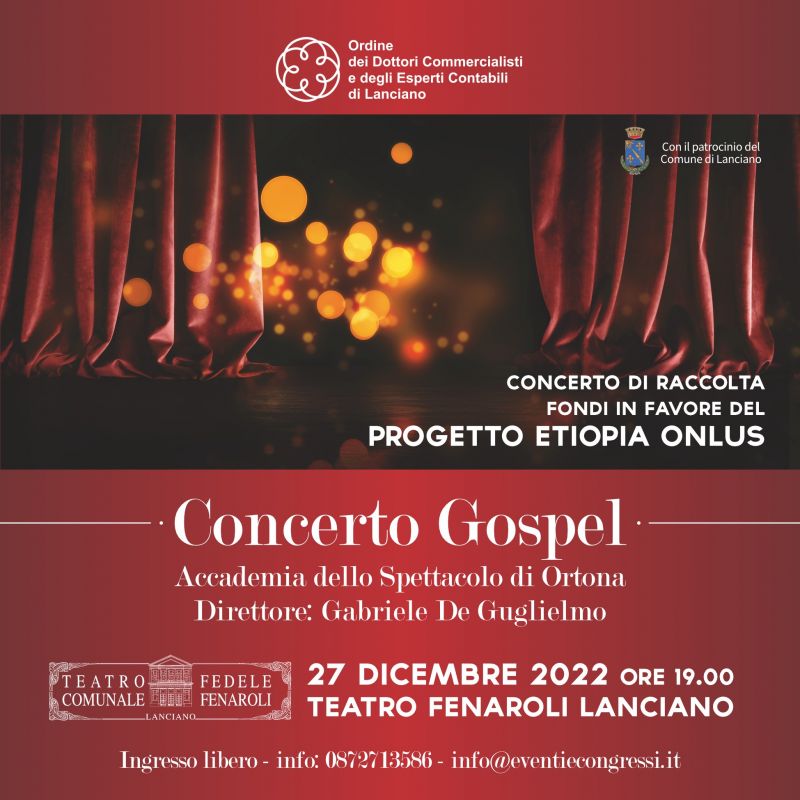 Concerto di raccolta fondi - Teatro Fenaroli 27 dicembre 2022